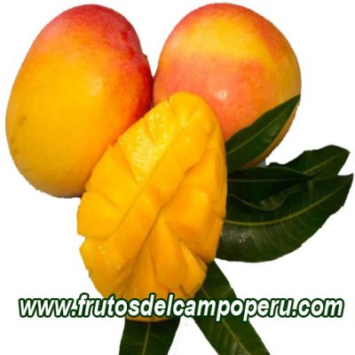 Mango Edward 1 kg