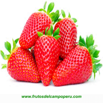 Fresa  500gr  bja