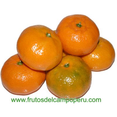 Mandarina con Pepa 1 kg
