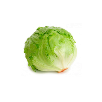 Lechuga Americana unid