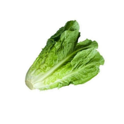 Lechuga Romana uni